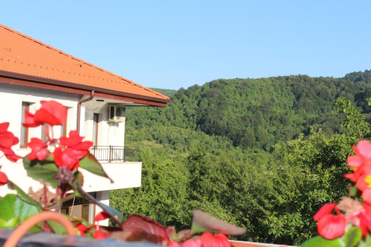 Бадевски Рай- Къща София Veliko Tarnovo Kültér fotó