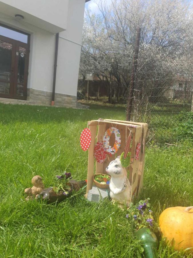 Бадевски Рай- Къща София Veliko Tarnovo Kültér fotó